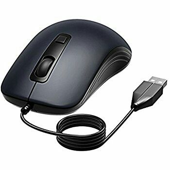 souris